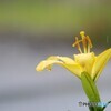 雨上がりの日曜日