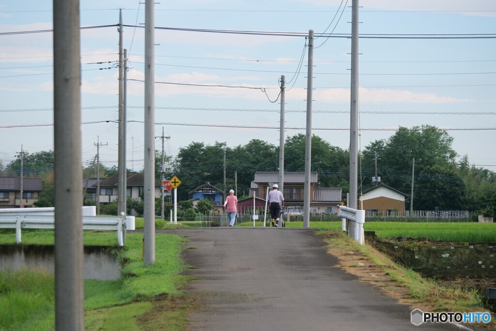 すとりーとほぉと