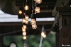 ぬくもりのある電球 ぬくもりのある電球