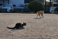 危険なふたり