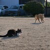 危険なふたり