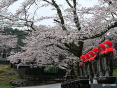 お地蔵さんと桜