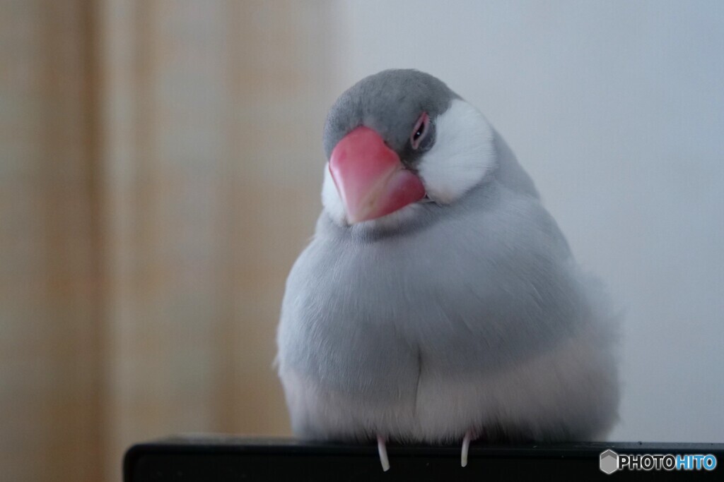 眠いんです