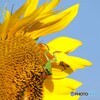 続　ひと夏の出来事