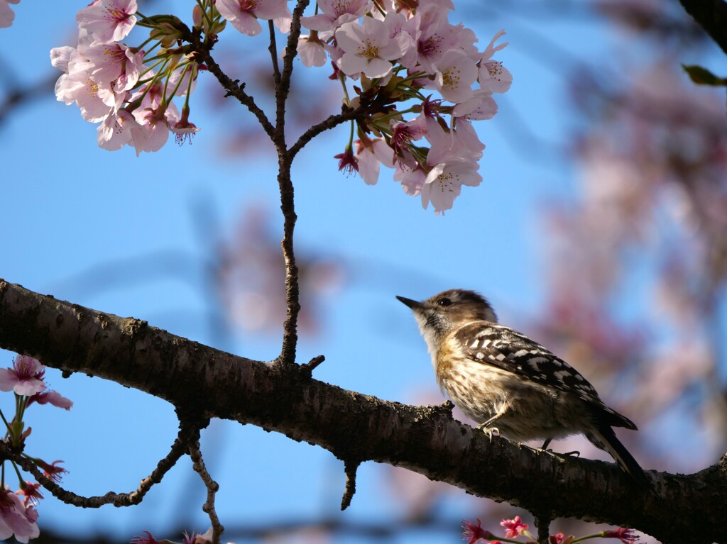 たまには休みます