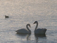 そばにいるだけで