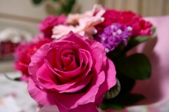 リビングの薔薇