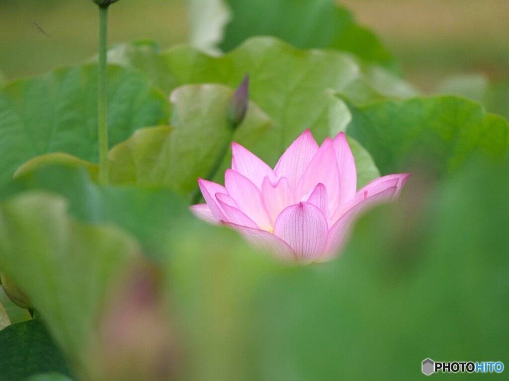 目覚めの時
