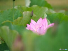 目覚めの時