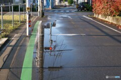 雨上がりの朝に 1/3