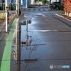 雨上がりの朝に 1/3