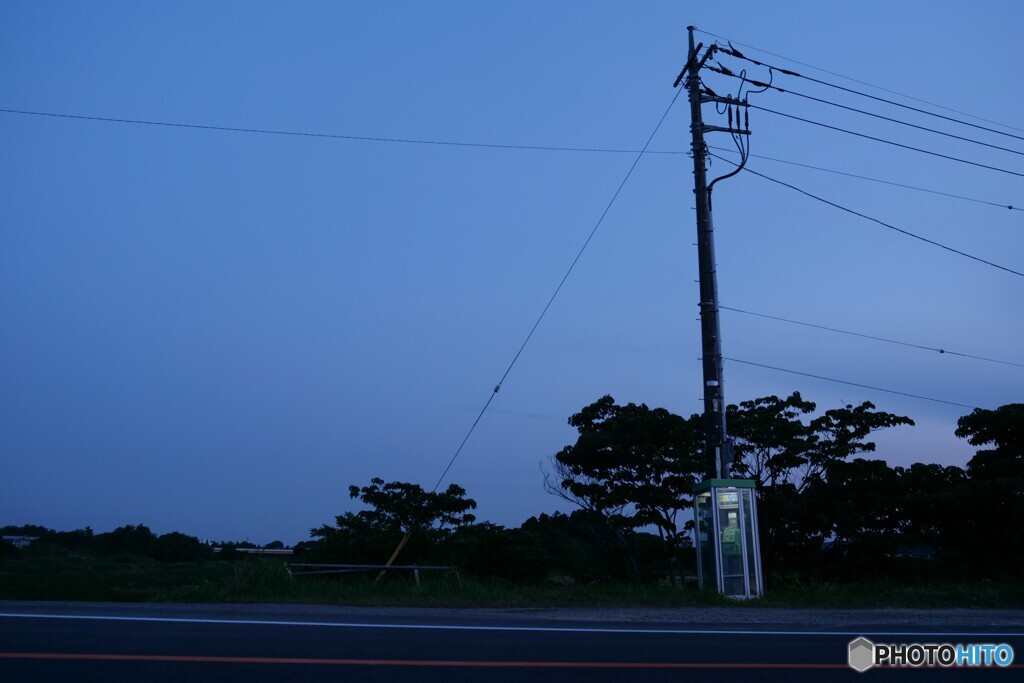 寂しそう