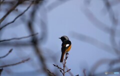 お久しぶりです 1/2