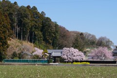 個人の御宅です