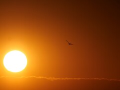 太陽を背に受けて
