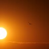 太陽を背に受けて