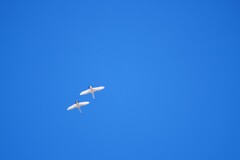 青空のキャンバスに