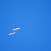 青空のキャンバスに