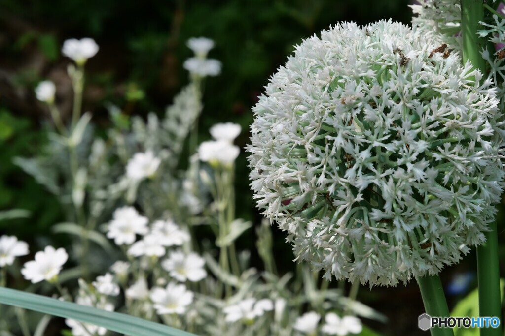 2025年の振返り 8/12