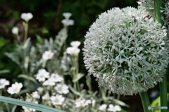 2025年の振返り 8/12