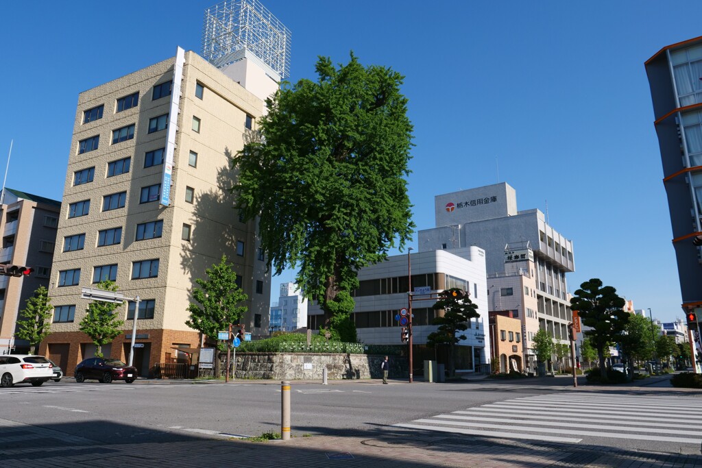 交差点に立つ