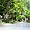 晩夏の散歩