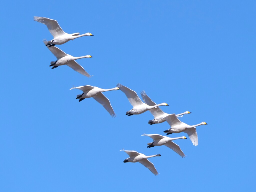 軋む音が聞こえる