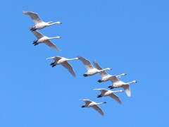 軋む音が聞こえる