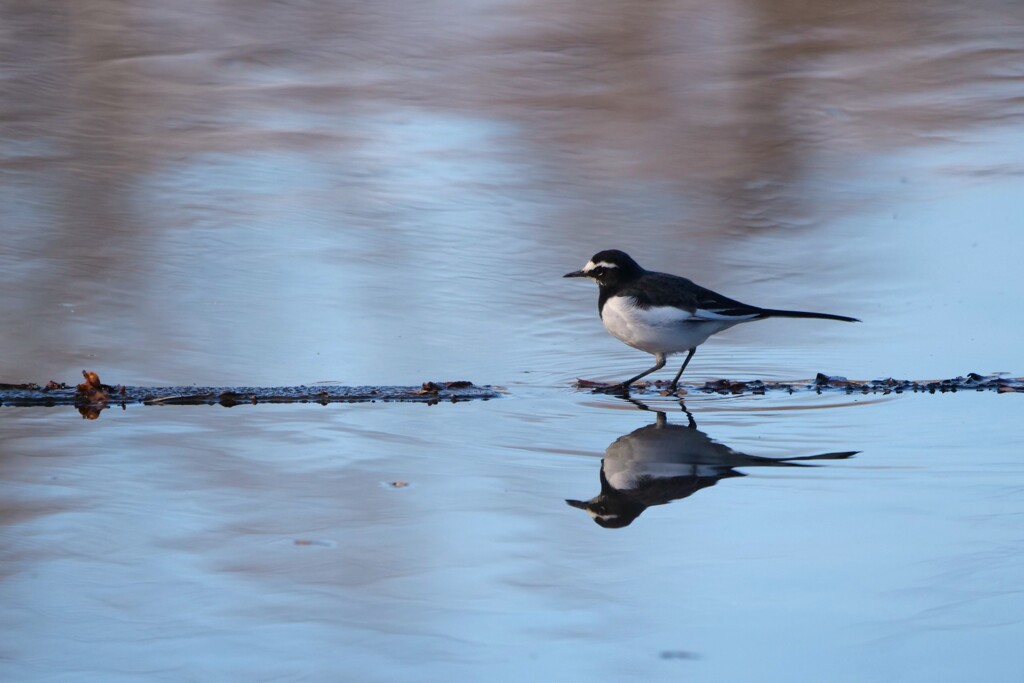 君の行く道は...