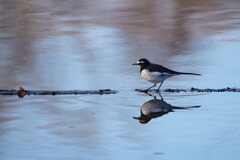 君の行く道は...