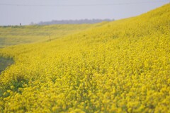 2024年の振り返り  3月