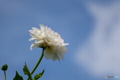 そろそろ梅雨明けか…