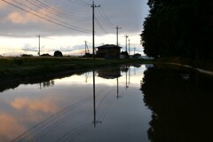 夕刻の水田