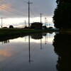 夕刻の水田