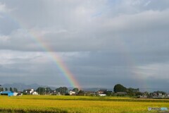 ９月の置き土産 3