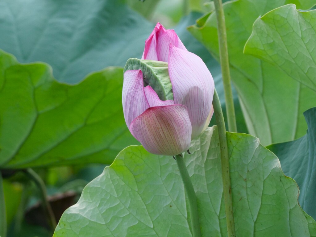 同病相憐