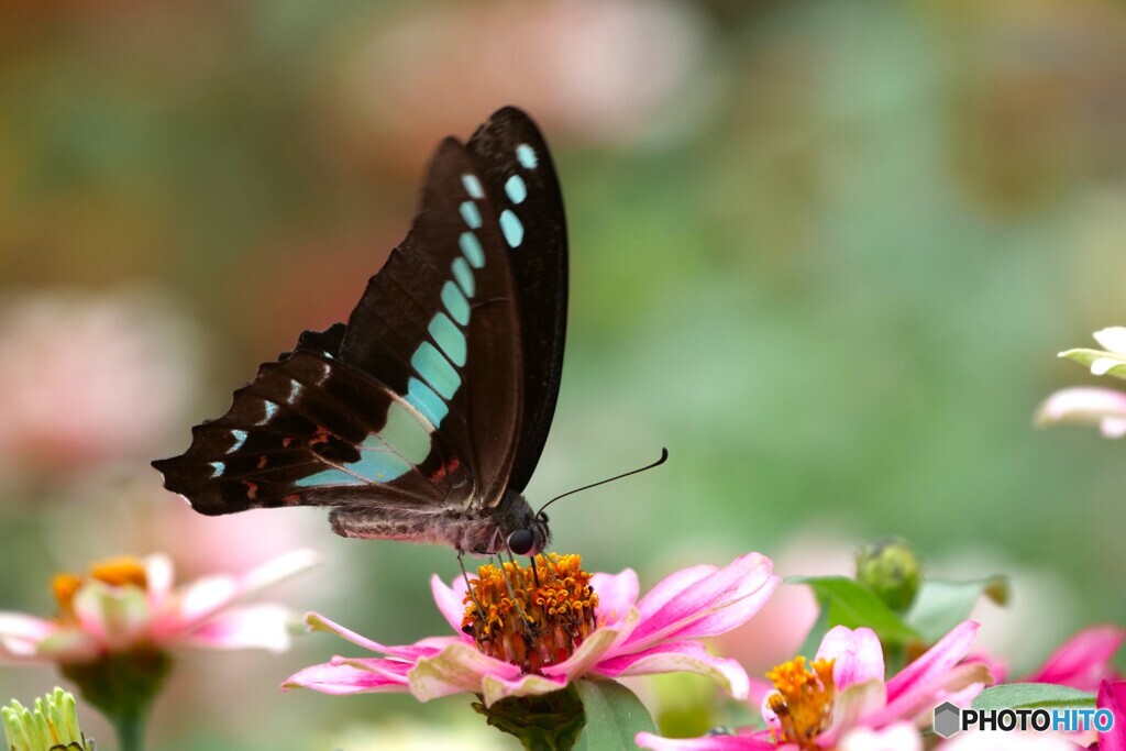 2025年の振返り 6/12