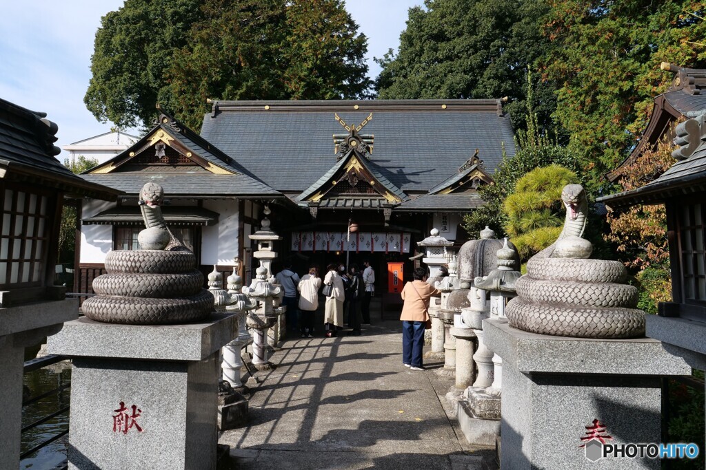 白蛇のいる神社