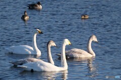 休日の過ごし方