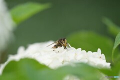 2025年の振り返り 4/12