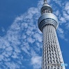 見上げてみたら