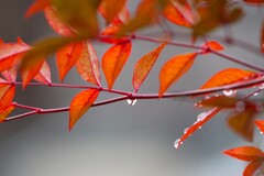 雨の日に