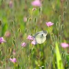 幸せなひと時