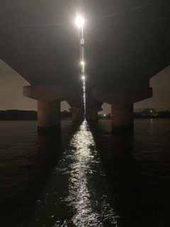 FC7D70F0-013A-4002-8C6D-09FB3022C63A