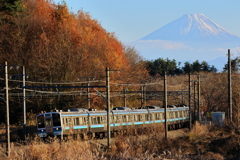 富士と地域の足