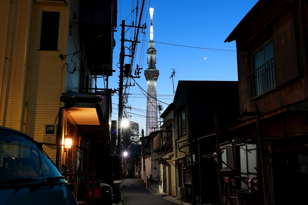 スカイツリー～路地裏のトワイライト～