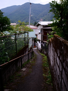 小路