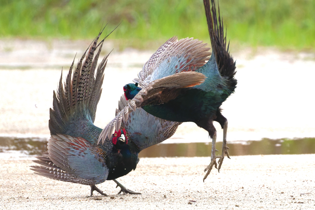 ジャンプアタック