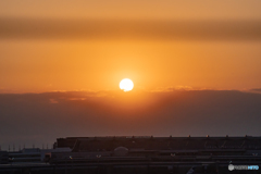 羽田空港からの夕日