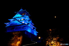 秀吉の城